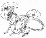 Xenomorph Coloring Pages Predalien Template sketch template