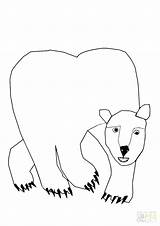 Bear Polar Coloring Pages Hear Corduroy Brown Drawing Baby Outline Line Cute Bears Print Printable Getcolorings Colorings Getdrawings Cub Clipartmag sketch template