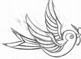 Swallow Outline Drawing Getdrawings Tattoo sketch template