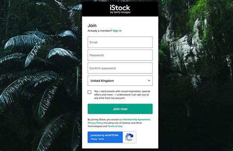 istock review  worth    video collective