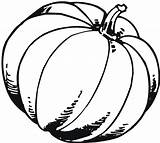 Pumpkin Coloring Pages Printable Outline Kids Drawing Blank Fall Template Patch Scary Gourd Pumpkins Color Print Benefits Clipartmag Drawings Getdrawings sketch template
