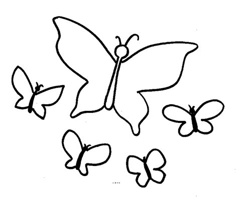 cartoon butterfly coloring home