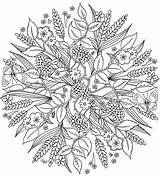 Mandala Coloring Nature Pages Mandalas Para Book Fall Color Colorir Adult Harvest Creative Printable Doverpublications Colouring Drawing Dover Publications Haven sketch template
