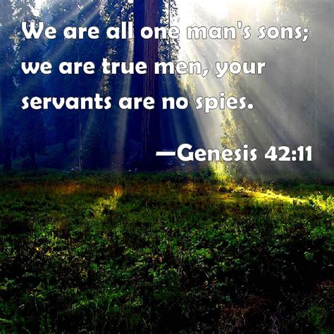 genesis 42 11 we are all one man s sons we are true men
