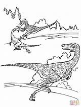 Velociraptor Raptor Jurassic Colorare Dinosaurs Ausmalbilder Disegni Dinossauro Colorir Dinosaure Dinosaurier Dinosaurios Greatestcoloringbook Microraptor Dino Dinosaurio Supercoloring Dinosauri Afb Dharma sketch template