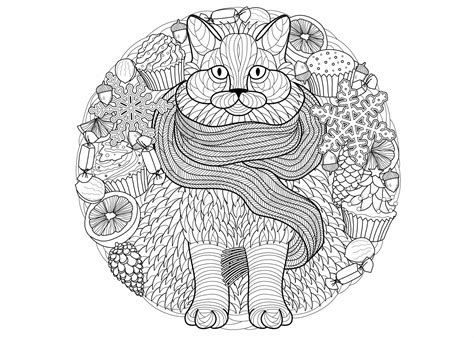 kleurplaat poes  leukste katten en poezen kleurplaten