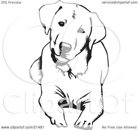 labrador dog coloring pages  getcoloringscom  printable