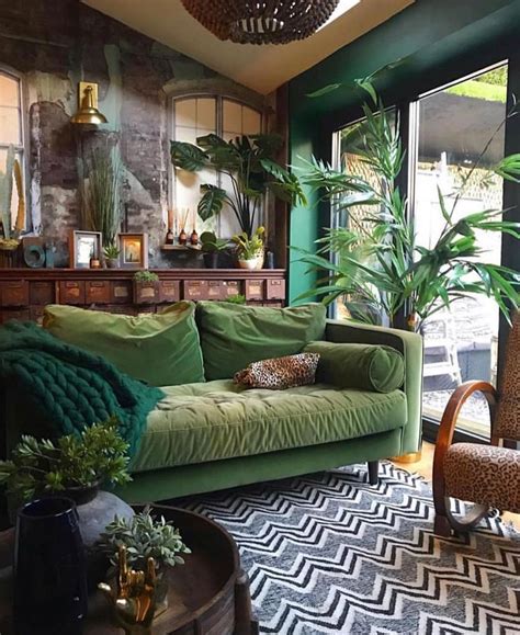 athellodecorlover  perfect couch surrounded  lovely indoor plants