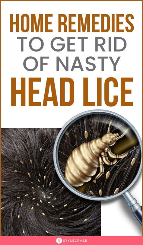 how do you get rid of head lice remedies treatments prevention