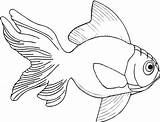 Fish Drawing Drawings Line Clipart Coloring Cliparts Clip Library Goldfish Pages Colouring Clipartbest Realistic Designs Books Walleye Bowl Sheet Tattoo sketch template