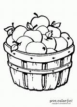 Apples Barrel Coloring Apple Clipart Basket Pages Fall Print Clip Color Might Printcolorfun sketch template
