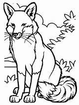 Fox Coloring Pages Kids Printable sketch template