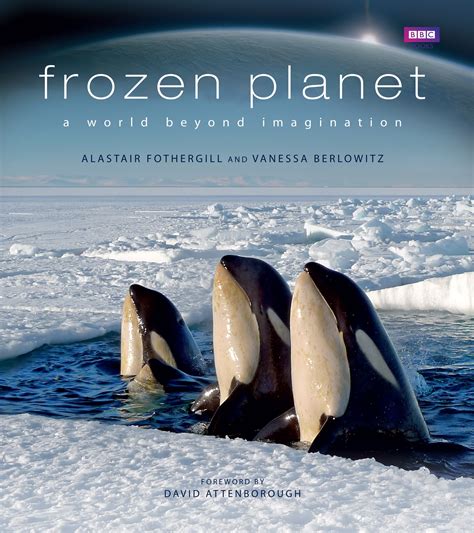 frozen planet  vanessa berlowitz penguin books  zealand