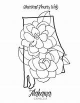 Alabama Yankees Camellia Getdrawings Crimson Tide sketch template