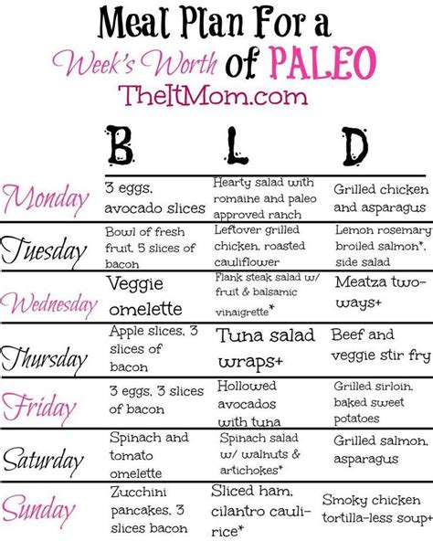 paleo diet  beginners guide meal plan paleo