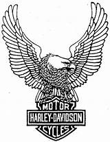 Harley Davidson Logo Outline Drawing Eagle Coloring Dessin Clip Drawings Symbol Tattoos Clipart Stencils Para Skull Tattoo Dibujo Moto Logos sketch template