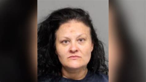 Lincoln Woman Facing Felony Charge For Alleged Plan To Use