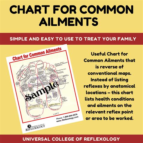 chart  common ailments universal college  reflexology