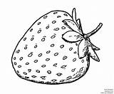 Drawing Strawberry Dibujo Fresa Drawings Od Dibujos Eu Pear Getdrawings Paintingvalley sketch template