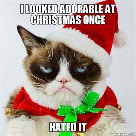 grumpy cat mustache meme hussein chester