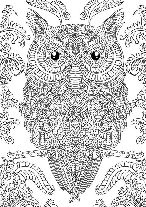 images  coloring owls  pinterest coloring embroidery