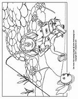 Coloring Pages Moody Judy Library Clipart Line sketch template