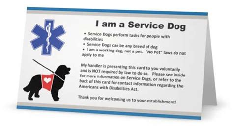 service dog information cards service dogs dog information dogs