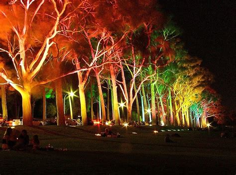 voltage led landscape lighting kits  colourfull trees lighting led landscape lighting