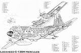 Cutaway Hercules C130 Lockheed Blueprints Blueprint 130h Parte1 Avia Nautica Cutaways Chinook Bellum Pacem sketch template