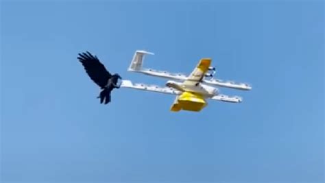 google delivery drones return  raven attack australian aviation