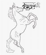 Rearing Galloping Horses Breyer sketch template