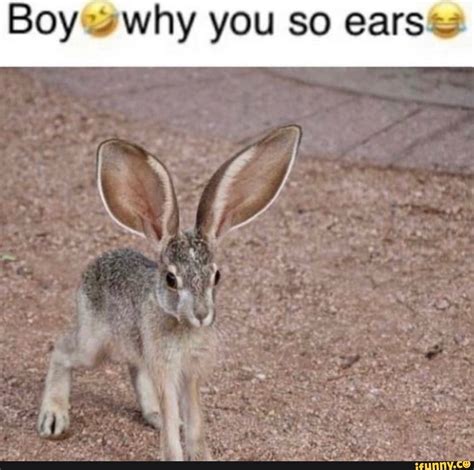 boy    ears ifunny