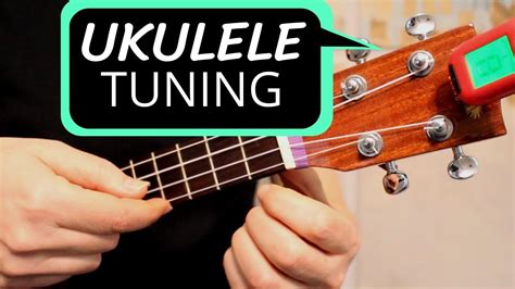 ukulele tuning  beginners easy comprehensive guide tips  stay  tune chords chordify
