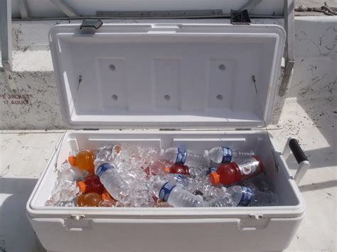 ice chests  coolers