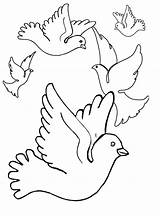 Pigeon Coloring Printable Pages Kids Bestcoloringpagesforkids sketch template