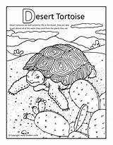 Desert Coloring Drawing Kids Tortoise Getdrawings sketch template
