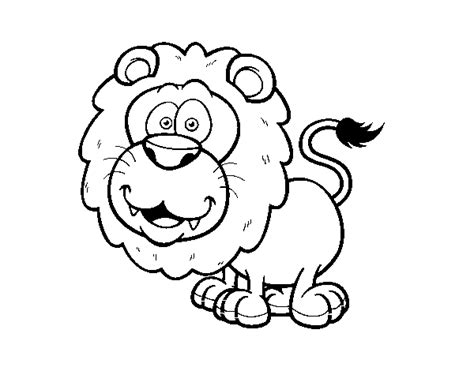 southwest african lion coloring page coloringcrewcom