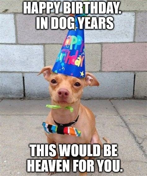 104 Funny And Cute Happy Birthday Memes To Send To Friends