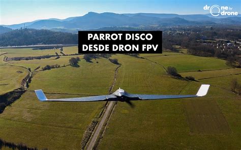 video  fpv drone  parrot disco