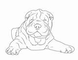 Pei Shar Hunde Ausmalen Malvorlagen Malvorlage Hunderassen Familie Schule sketch template