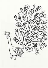 Coloring Peacock Pages Colouring Birds Print sketch template
