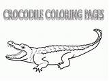 Crocodile Coloring Pages Outline Color Drawing Crocodiles Colour Kids Printable Alligator Easy Sheet Clipart Simple Popular Paintingvalley Library Books sketch template