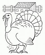 Coloring Turkey Printable Thanksgiving Kids Cartoon Cute Drawing Wallpaper Colour sketch template
