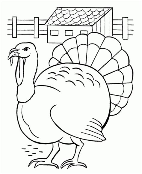 colours drawing wallpaper printable thanksgiving coloring page  kids   cute cartoon