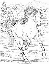 Horse Coloring Drawing Pages Edupics sketch template