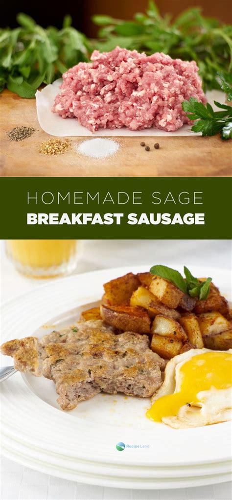 sage breakfast sausage recipe homemade sausage recipes sausage