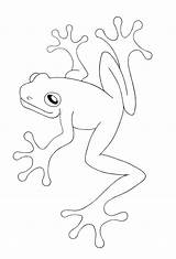 Coloring Pages Frog Frogs Printable Tree Sheets sketch template