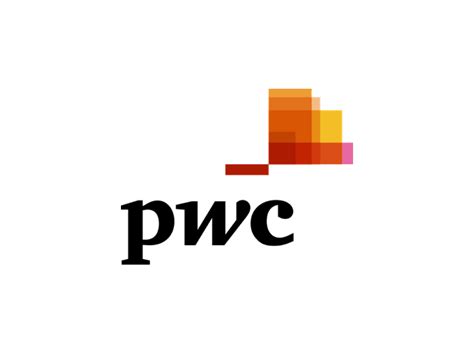 pwc logo evolution  brand colour palette