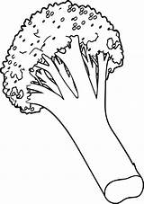 Colouring Cauliflower sketch template