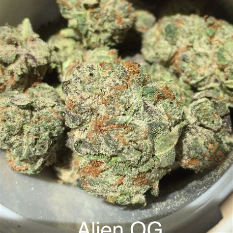 alien og marijuana strain buy marijuana  buy weed